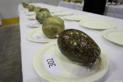 PRODUCT_JUDGING_2019_9_2341