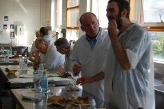 Steak Pie Judging